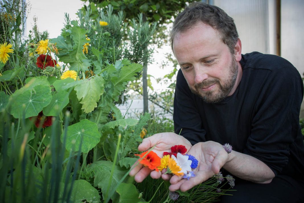 Leo Erksen oogst eetbare bloemen uit zijn daktuin | © Sandra Hoogeboom