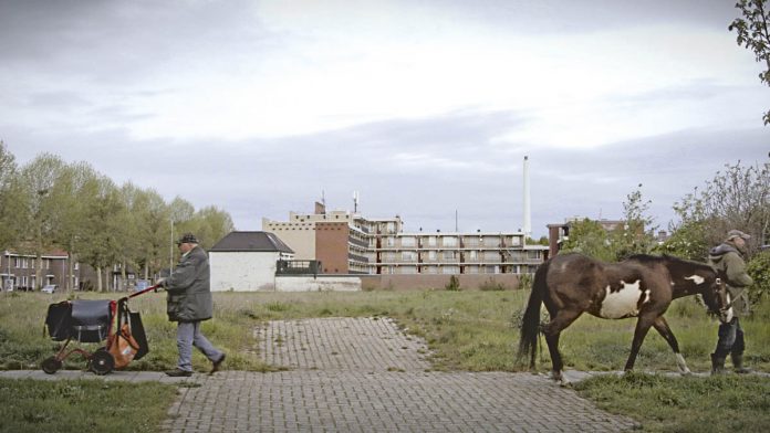 Gerrit met paard helpt buurtbewoners | © HUMAN